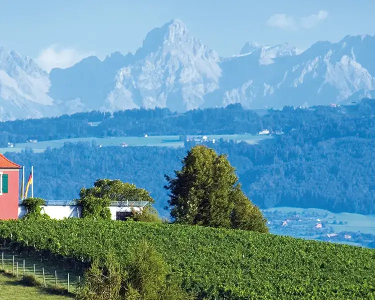 Blick ins Allgäu