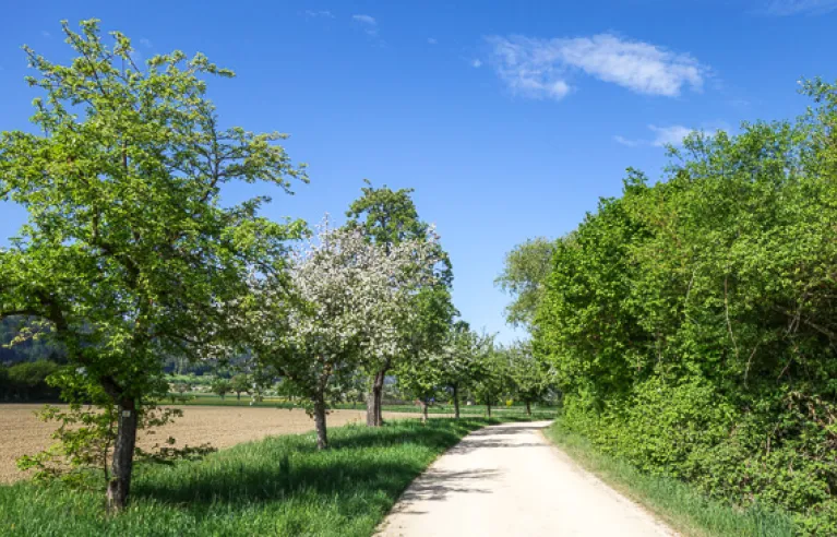 Paysage près de Bohlingen