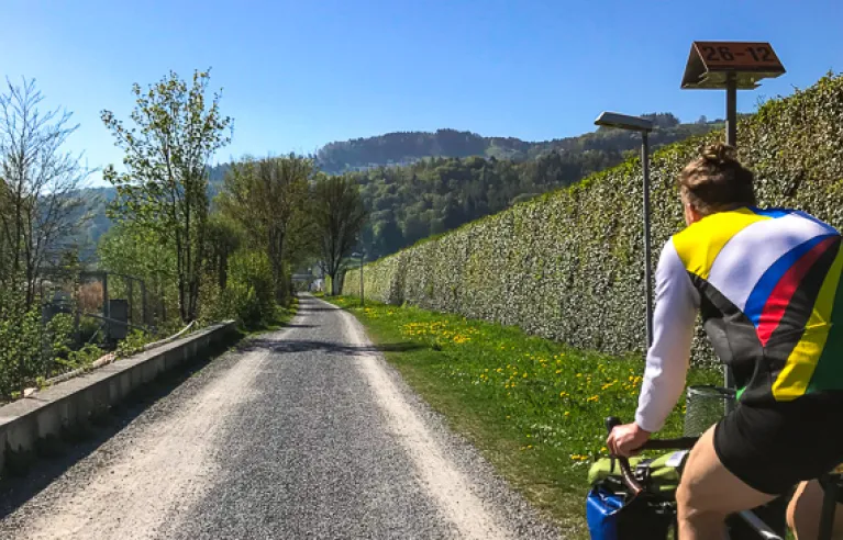 Cyclistes sur route