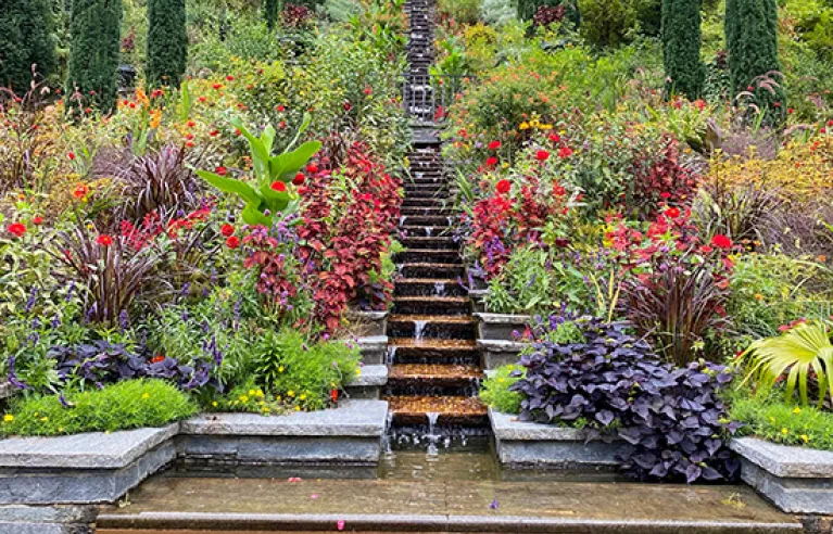 L'île aux fleurs de Mainau
