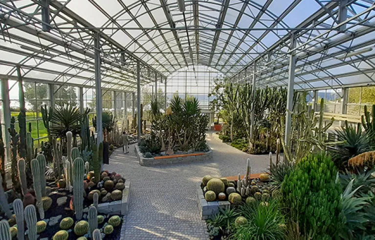 Jardin d'hiver de cactus à Überlingen