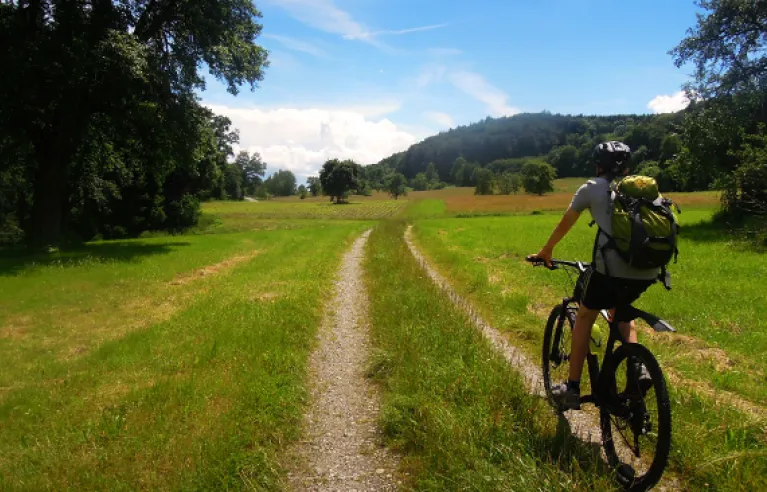 VTT Bodanrück