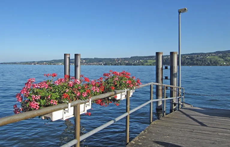 Embarcadère de l'île de Reichenau