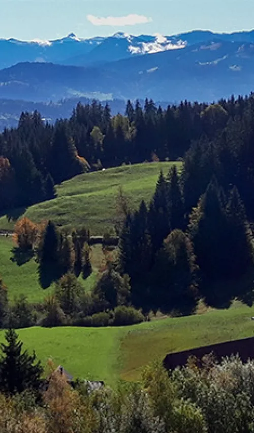 Vue depuis le Pfänder