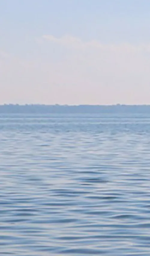 Vue sur le lac de Constance