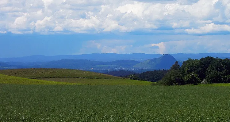 Vue sur le Hegau