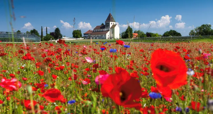 Île de Reichenau