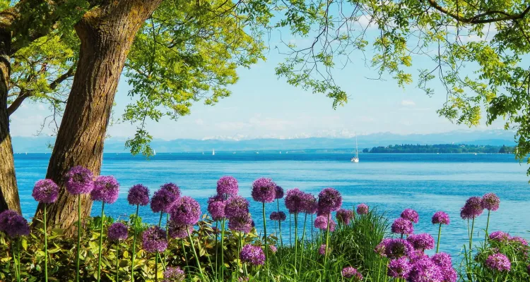 Île de Mainau