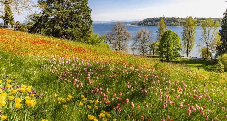 L'île aux fleurs de Mainau