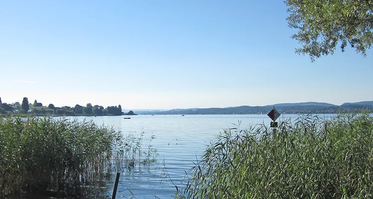 Gnadensee devant l'île de Reichenau