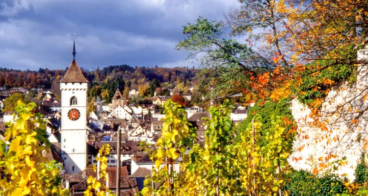 Cathédrale de Schaffhouse